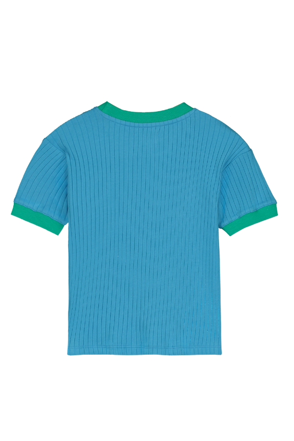 T-shirt manches courtes col rond pour enfant en coton 100% bio mixte unisexe style vintage imprimé bleu cœur vert, vue verso